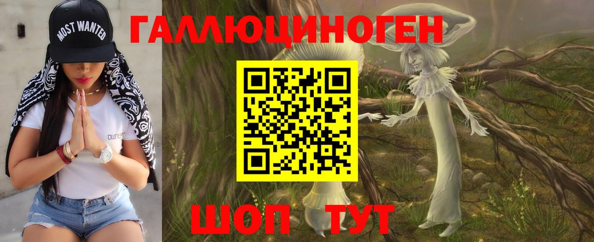 Галлюциногенные грибы Psilocybe  Галлюциногенные грибы Psilocybine cubensis  Вход с VPN  Советский 