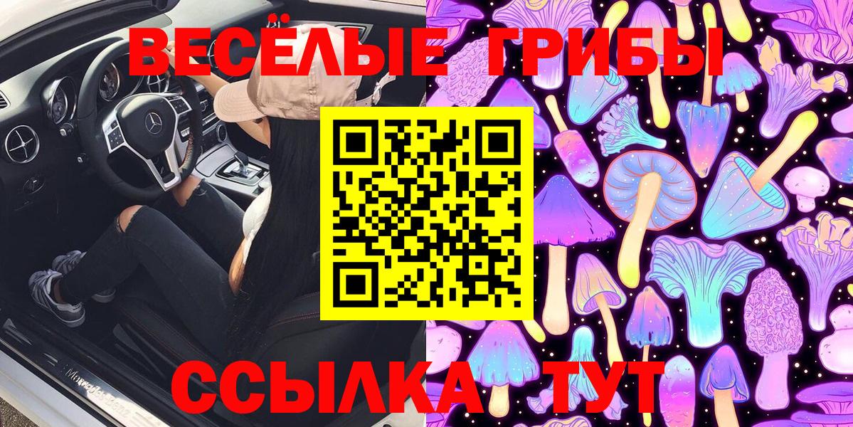 Галлюциногенные грибы прущие грибы Советский